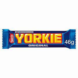 Yorkie